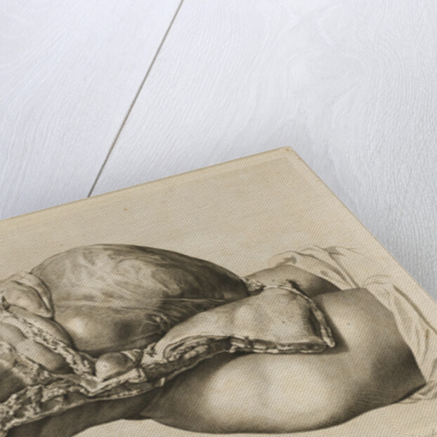 Human gravid uterus by II Scotin