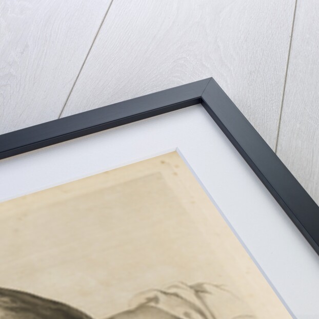 Human gravid uterus by II Scotin