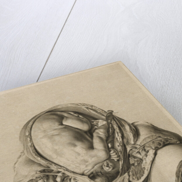 Foetus in the womb by Robert Strange