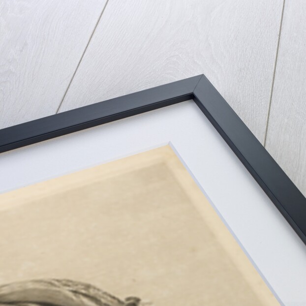 Foetus in the womb by Robert Strange