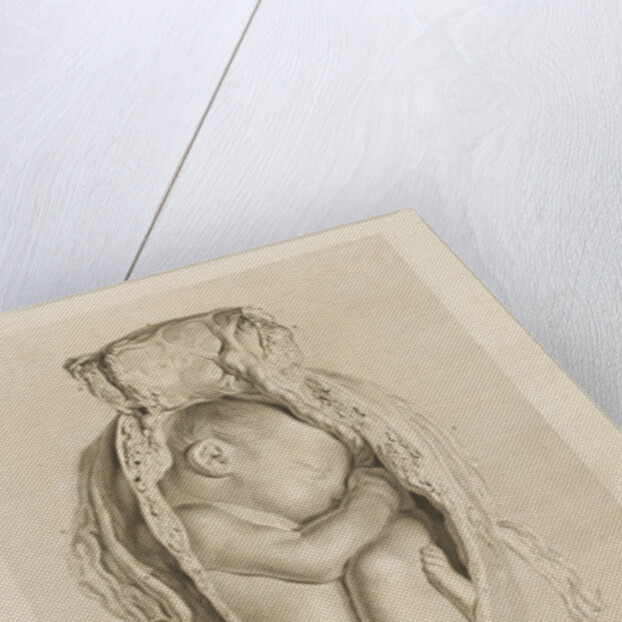 Foetus in the womb by Christian von Mechel