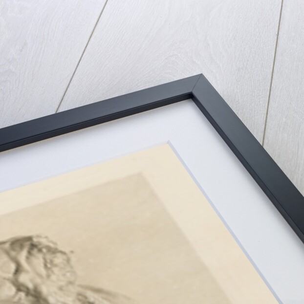 Foetus in the womb by Christian von Mechel