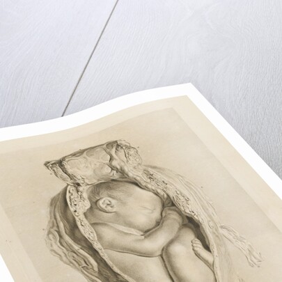 Foetus in the womb by Christian von Mechel