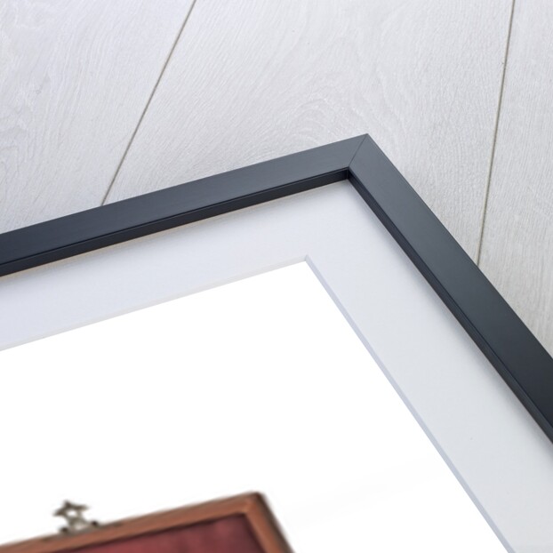 Binocular microscope eyepieces by Ernst Leitz GmbH