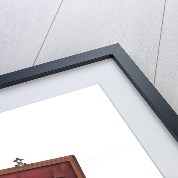 Binocular microscope eyepieces by Ernst Leitz GmbH