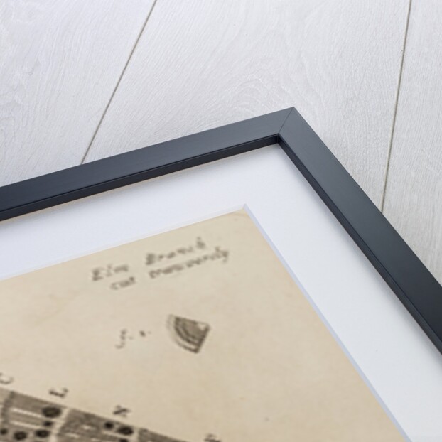 ‘Elm branch’ by After Nehemiah Grew