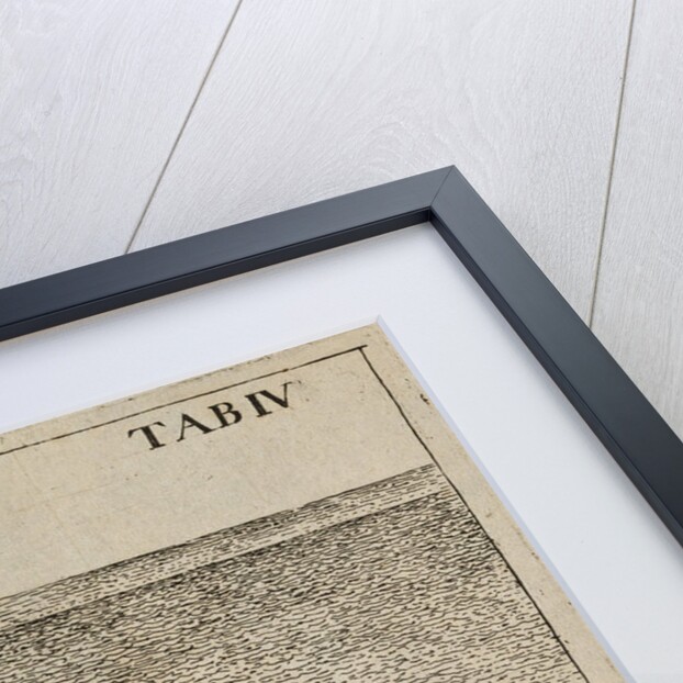 'Water worms' by Jan Swammerdam