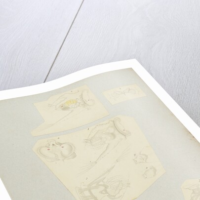 Rotifer by Charles Thomas Hudson