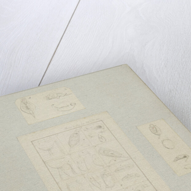 Rotifer by Charles Thomas Hudson