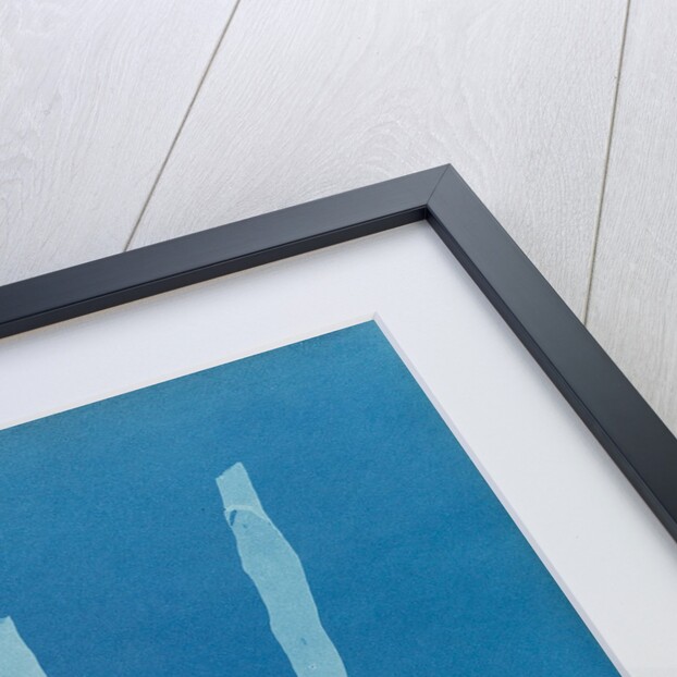 Laminaria fascia by Anna Atkins