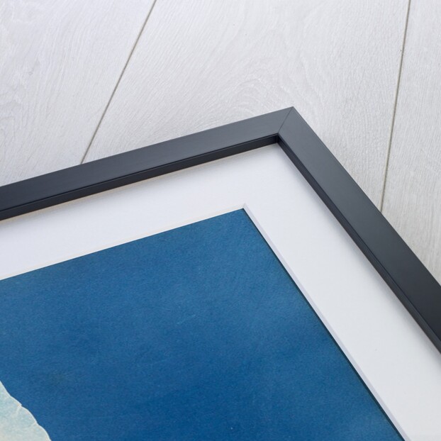 Puntaria plantagine by Anna Atkins