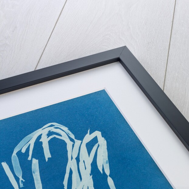 Leather tube by Anna Atkins