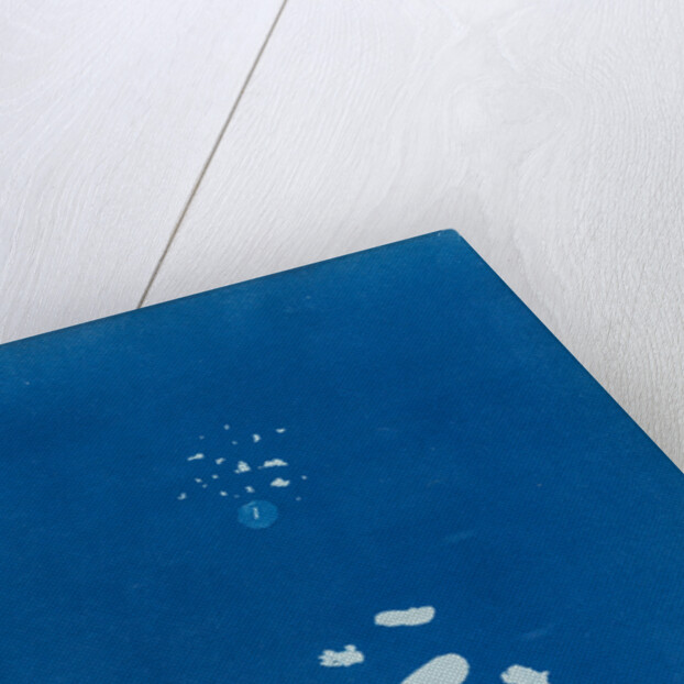 Sphacelaria velutina by Anna Atkins