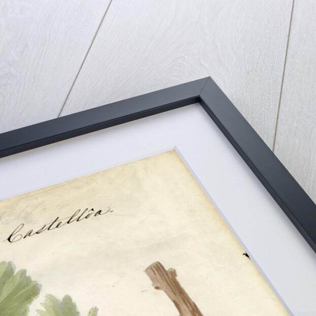 Grape vines by Joseph James Forrester