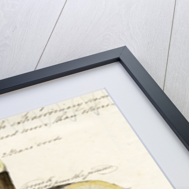 Grape vines by Joseph James Forrester