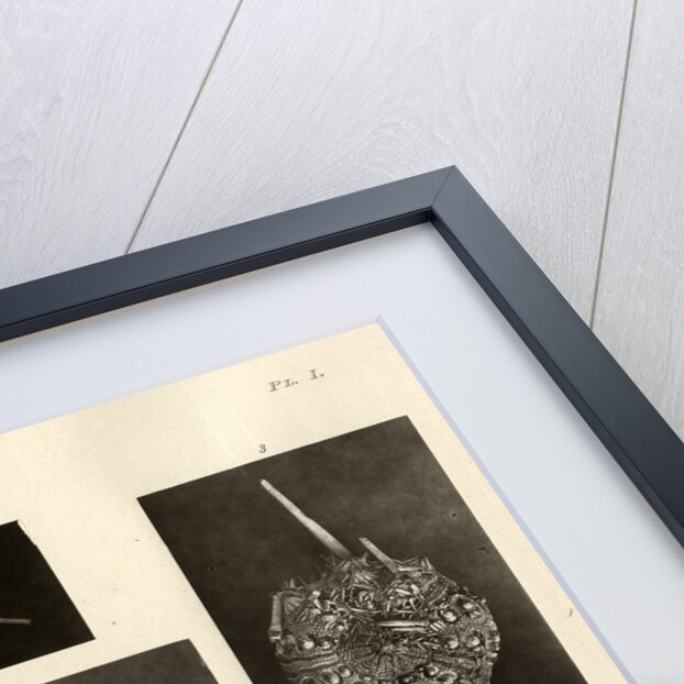 Long-spine slate pen sea urchin by American Photo Relief Printing Company