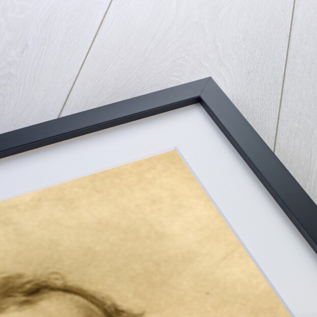 Portrait of Henry Wentworth Acland by Unknown