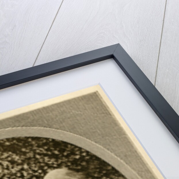 Portrait of Henry Wentworth Acland and John Ruskin by Unknown