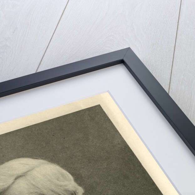 Portrait of Alfred Russel Wallace by Art Reproduction Company