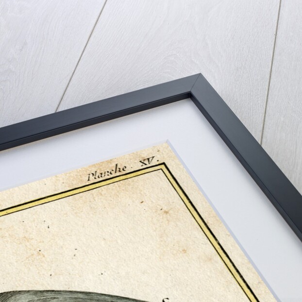 Burning glass by Unknown