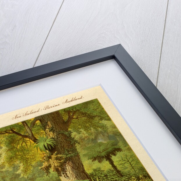 Forest in Papakura, New Zealand by Arnold Meermann