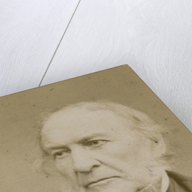 Portrait of William Ewart Gladstone (1809-1898) by Elliott & Fry