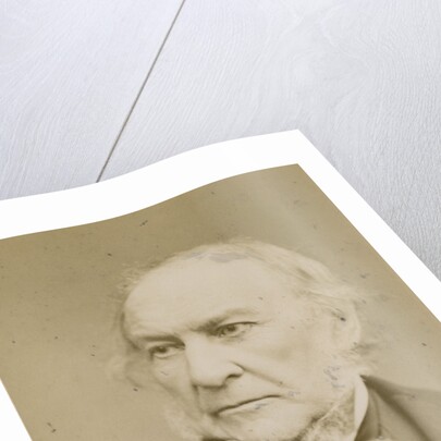 Portrait of William Ewart Gladstone (1809-1898) by Elliott & Fry