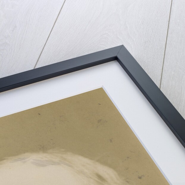 Portrait of William Ewart Gladstone (1809-1898) by Elliott & Fry