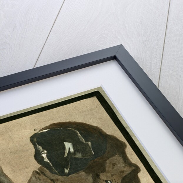 Rock specimens by Pietro Fabris