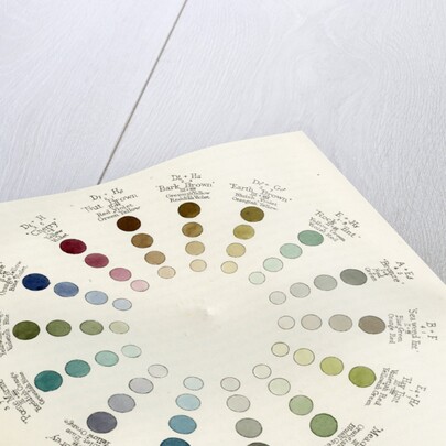 ‘Complementary combinations’ by Thomas Kell