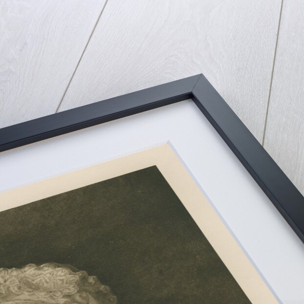 Portrait of Caroline Lucretia Herschel (1750-1848) by Anonymous