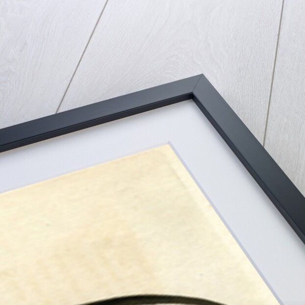 ‘Chinese jacana’ by John Latham