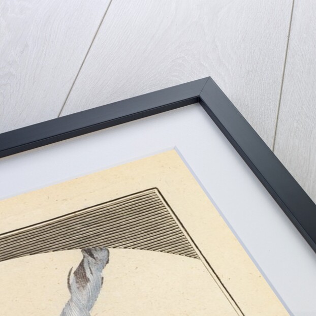 Lace threads by Martin Frobene Ledermuller