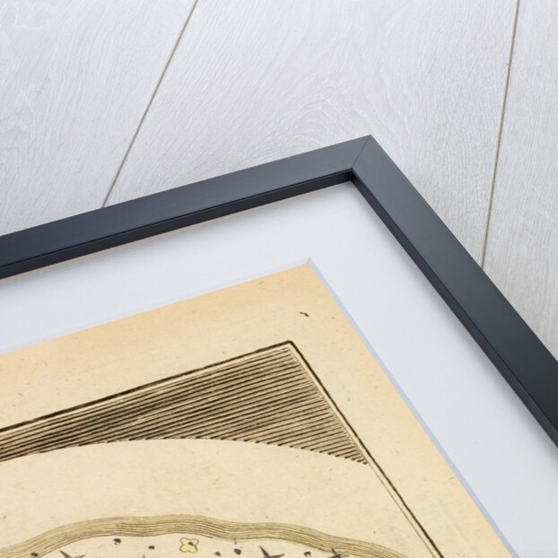 Crystals in urine by Martin Frobene Ledermuller