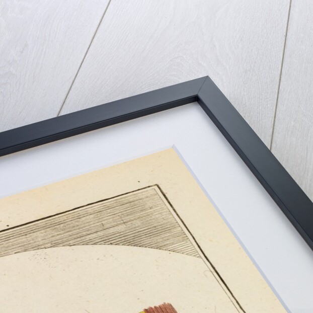 A piece of taffeta by Martin Frobene Ledermuller
