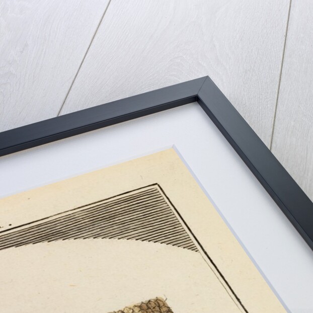 Cork by Martin Frobene Ledermuller
