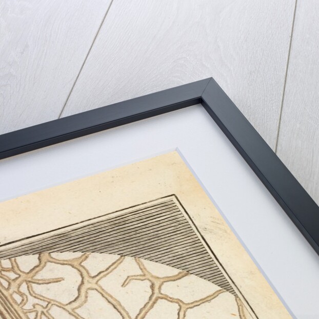 Pear leaf structure by Martin Frobene Ledermuller