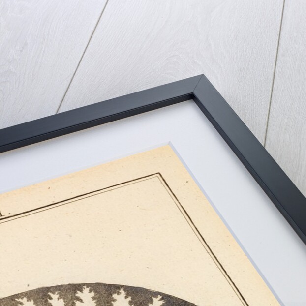 Glauber’s wonderful sal by Martin Frobene Ledermuller