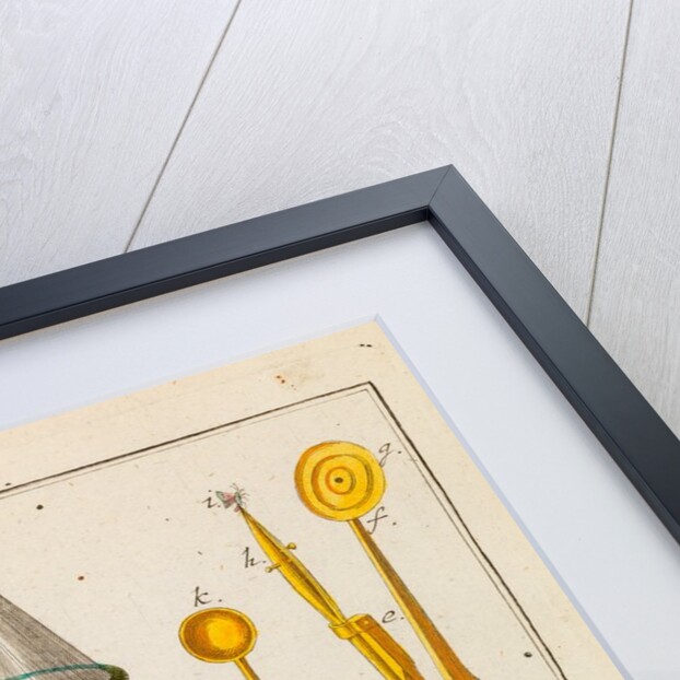 Magnifiers and microscopes by Adam Wolfgang Winterschmidt