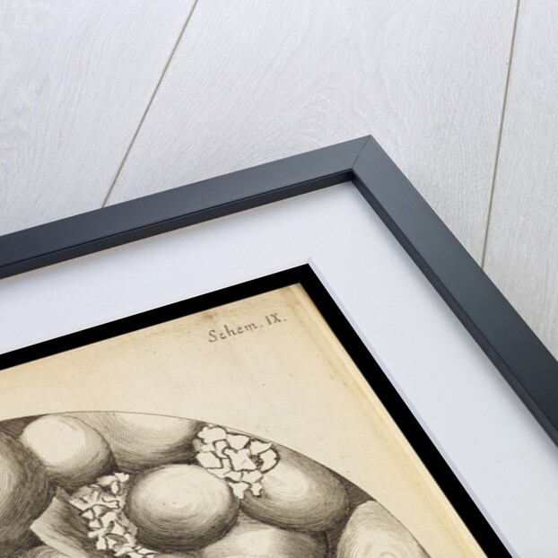 Microscopic views of Kettering-stone, seaweed and sponge by Robert Hooke