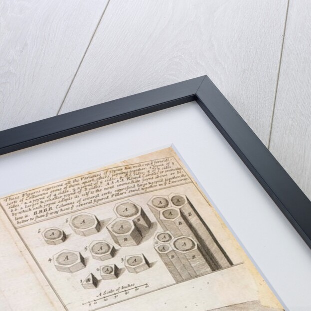 Giant's Causeway by The Royal Society