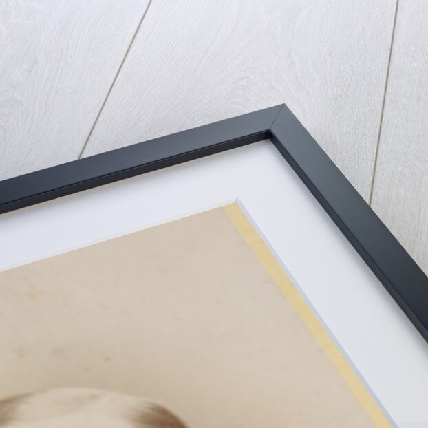 Portrait of Francis Maitland Balfour (1851-1882) by Francis R Elwell