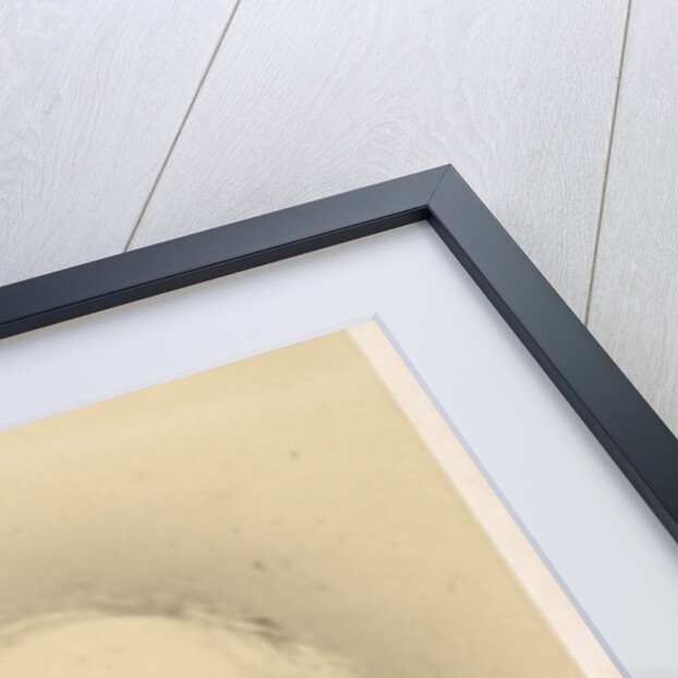 Portrait of John Hutton Balfour (1808-1884) by John Moffat