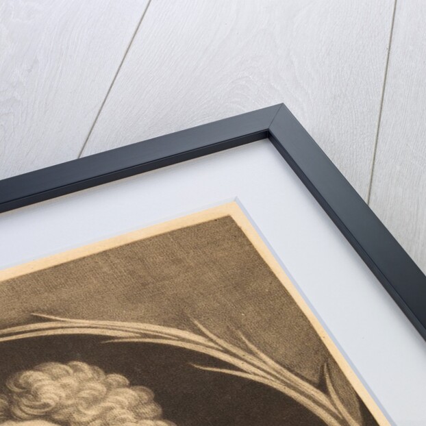 Portrait of Edmond Halley by Francis Kyte