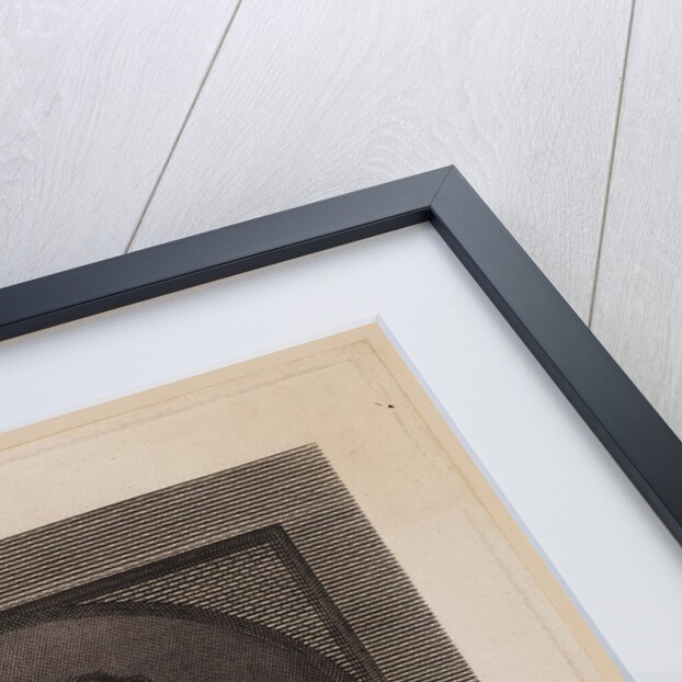 Portrait of Nicolaus Copernicus by Nicolas Dandeleau