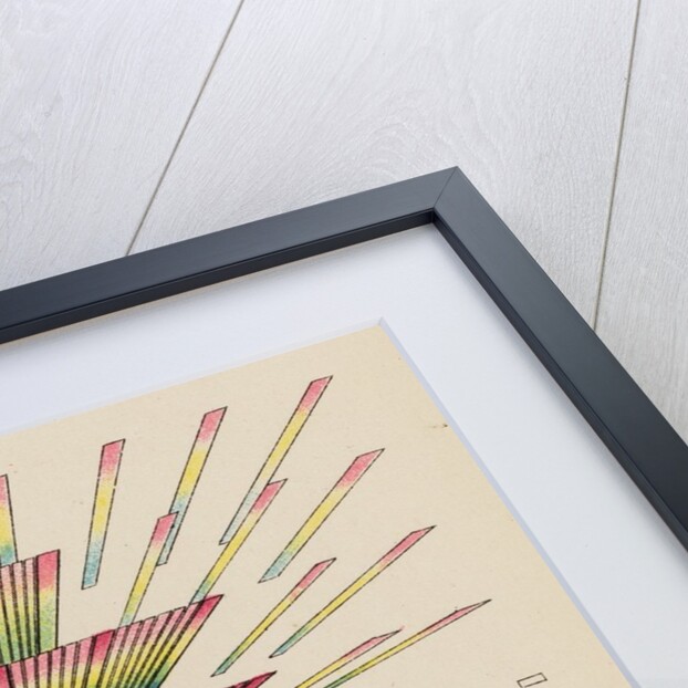 Interference spectra by Friedrich Magnus Schwerd