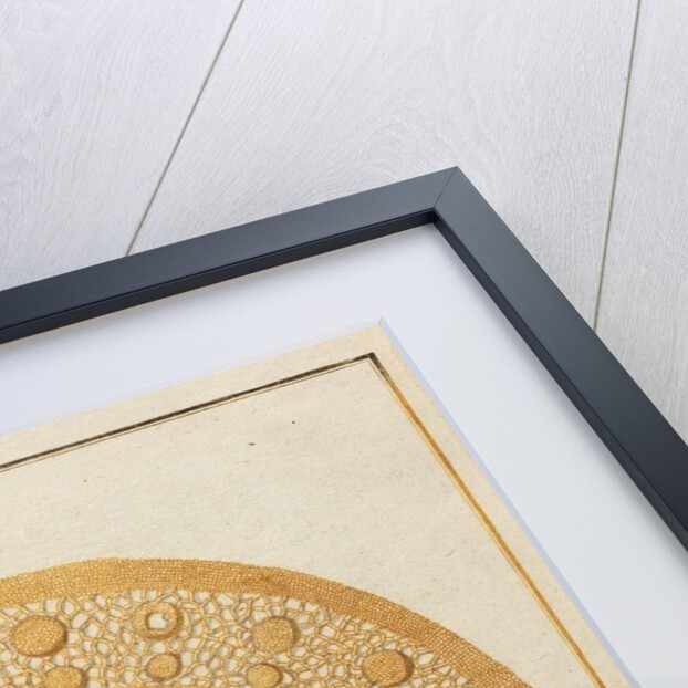 Straw by Adam Wolfgang Winterschmidt