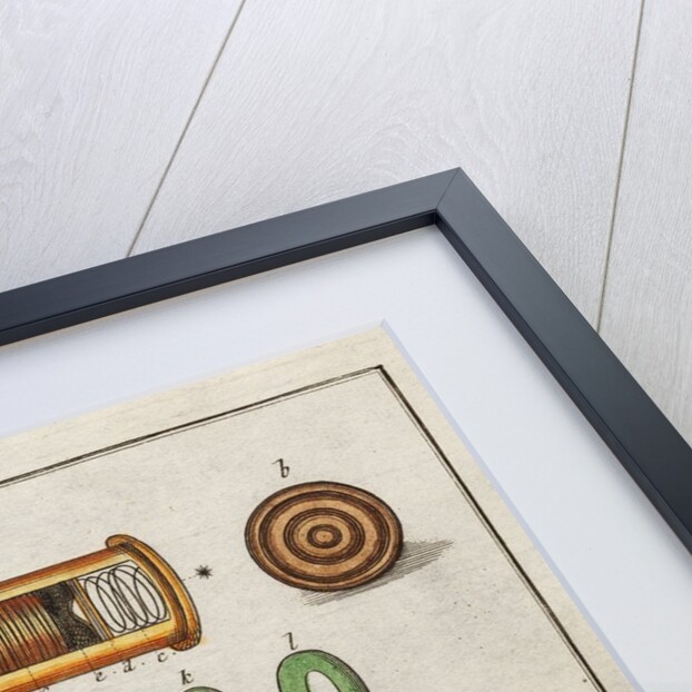 Culpeper microscope by Adam Wolfgang Winterschmidt