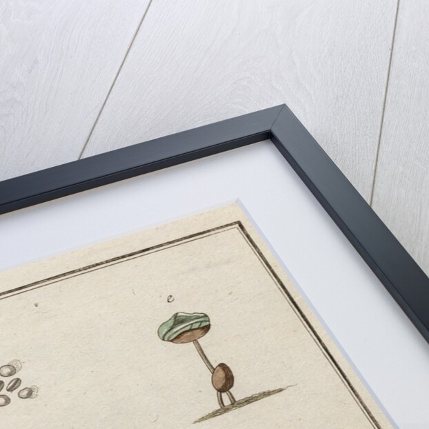 Coffee by Adam Wolfgang Winterschmidt