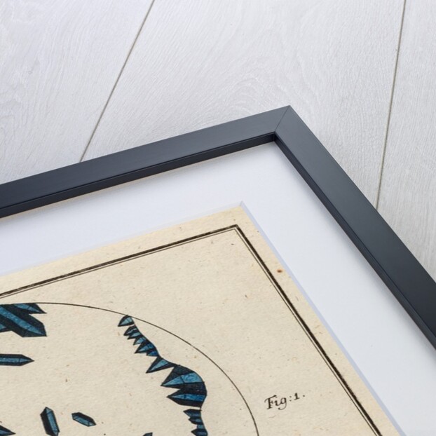 Salt specimens by Adam Wolfgang Winterschmidt